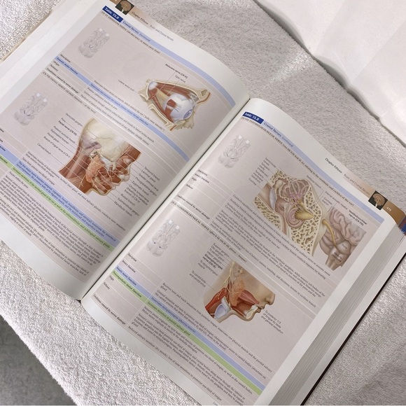 Mckinley O’loughlin Human Anatomy Third Edition Hardcover Textbook - Picture 7 of 11
